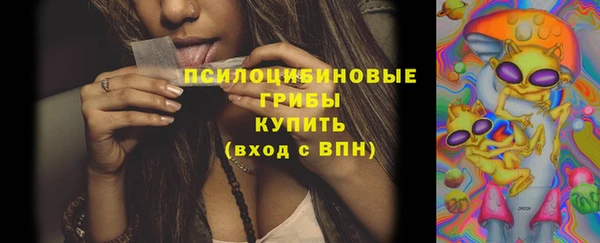 амфетамин Белокуриха