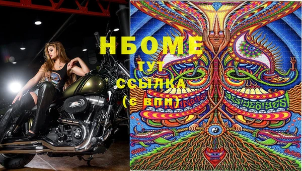 дмт Богородск
