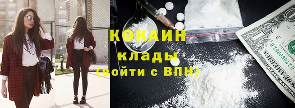 дмт Богородицк