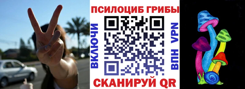 Купить где  Каргополь  Псилоцибиновые грибы ЛСД 
